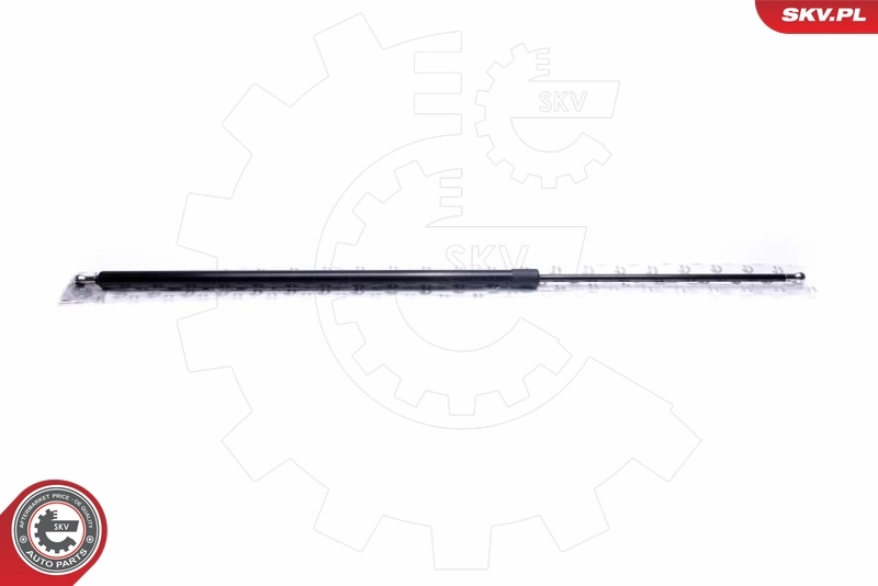 Gas Spring, boot/cargo area